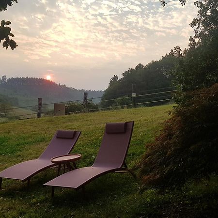Agroturismo Iberreko Errota Muxika Bagian luar foto
