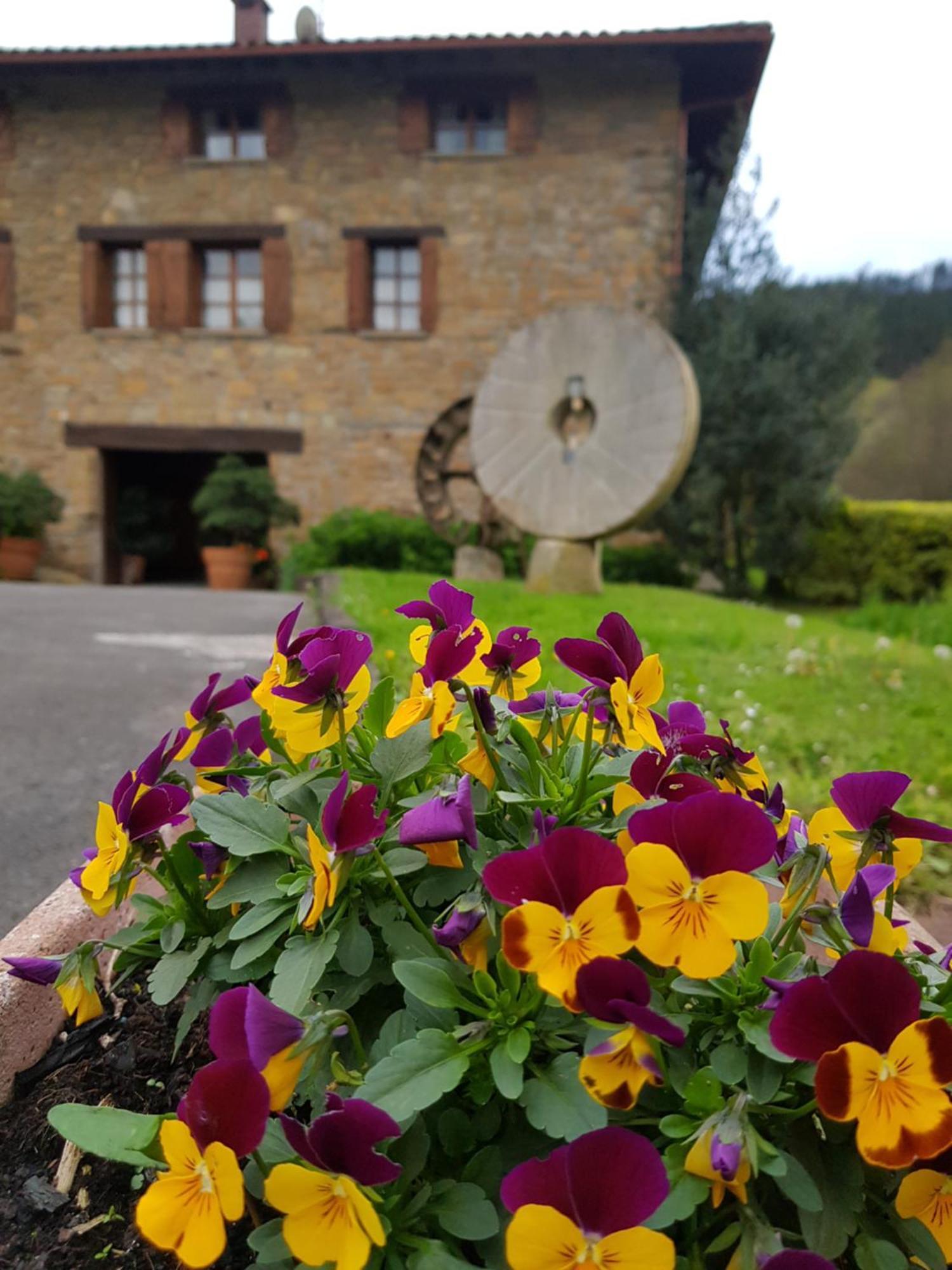 Agroturismo Iberreko Errota Muxika Bagian luar foto
