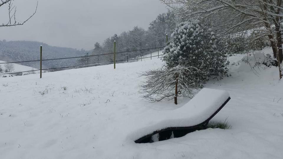 Agroturismo Iberreko Errota Muxika Bagian luar foto